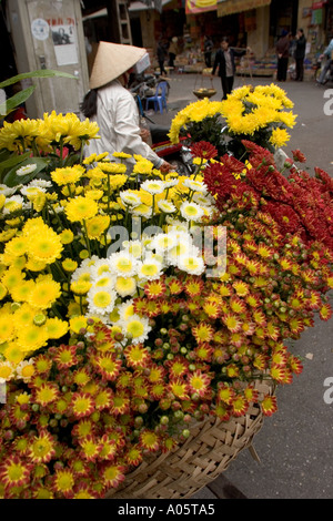 Vietnam Hanoi Centre Ancien quartier commerce ventes fleurs chrysanthèmes cycle chargé avec Banque D'Images