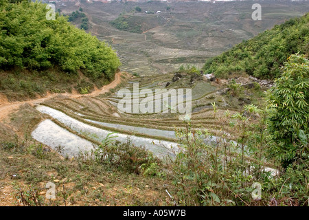 Territoires du Vietnam Sapa Hill zone tribale l'agriculture en terrasses fortement sur les rizières inondées à flanc avant de labourer Banque D'Images