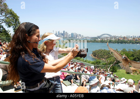 Le spectacle d'oiseaux au Zoo de Taronga Sydney NSW Australie Banque D'Images