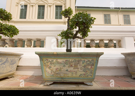 Bonsai arbres au Grand Palais Wat Phra Kaeo, Bangkok, Thaïlande. Banque D'Images