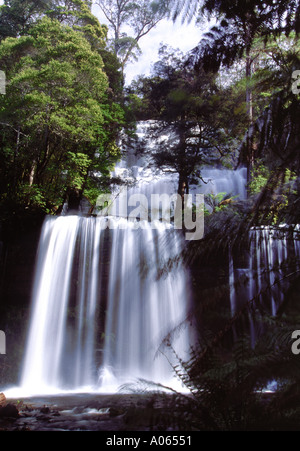 Russell Falls Parc national du mont Field Tasmanie Australie Banque D'Images
