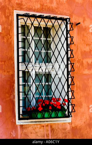 Vue Scenci sur la fenêtre de barre métallique avec des fleurs rouges dans une jardinière verte contre un mur orange texturé. Banque D'Images