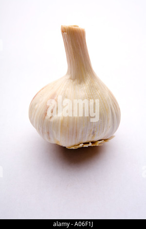 Ail isolated on a white background studio. Banque D'Images