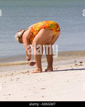 Grosse Dame la collecte de coquillages en Floride Banque D'Images