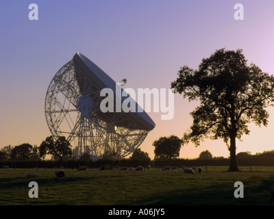 Radio télescope de Jodrell Bank,Holmes Chapel,Angleterre,UK Banque D'Images