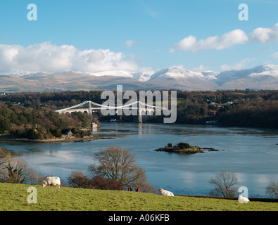 Détroit de Menai Bridge et en hiver avec de la neige sur les montagnes de Snowdonia et de moutons dans le Nord du Pays de Galles d'Anglesey avant Banque D'Images