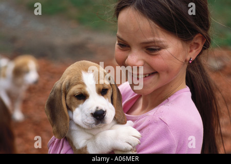 9 ans, fille détient neuf chien chiot beagle pedigree Banque D'Images