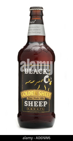 Mouton noir Golden tesco finest amende strong pale ale Masham North Yorkshire Angleterre Royaume-Uni Royaume-Uni GB Grande-bretagne eu Europe Banque D'Images