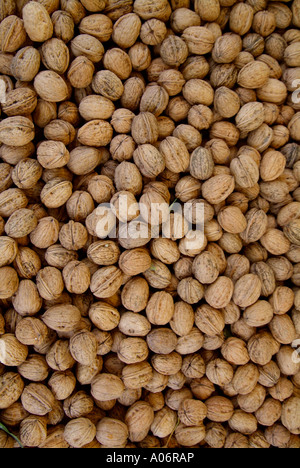 Ensemble en noyer naturel de l'unshelled shell ingrédient sucré récolte protéine saine alimentation santé La noix fraîche discontinues balance Banque D'Images