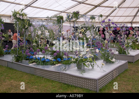 L'affichage à l'intérieur de la fleur de l'horticulture au chapiteau show agricole Cornwall England UK Banque D'Images