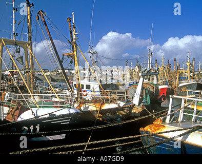 KILMORE QUAY CO WEXFORD RÉPUBLIQUE D'IRLANDE EUROPE Octobre bateaux de pêche colorés dans le port de ce joli village Banque D'Images