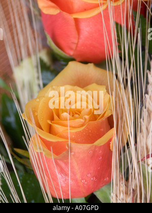 Roses buquet, Close up Banque D'Images
