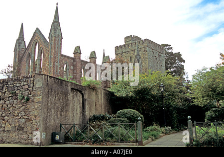 CO WEXFORD WEXFORD RÉPUBLIQUE D'IRLANDE EUROPE Abbaye de Selskar datant du 13thc remplacé pré-Chrétien Temple dédié à Odin Banque D'Images