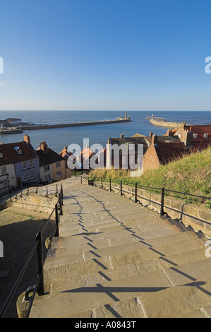 Étapes de l'abbaye de Whitby, North Yorkshire uk gb eu Europe Banque D'Images