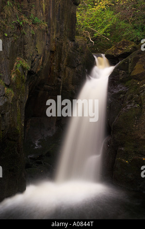 Tuyère d'Hollybush Pecca falls chutes d'Ingleton à pied du Nord Yorkshire Angleterre UK GB EU Europe Banque D'Images