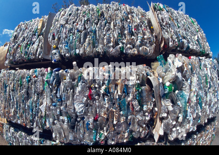 Flacons PE attendant d'être recyclés Maui Kahului Hawaii USA UNITED STATES Banque D'Images