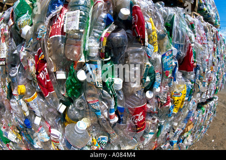 Flacons PE attendant d'être recyclés Maui Kahului Hawaii USA UNITED STATES Banque D'Images