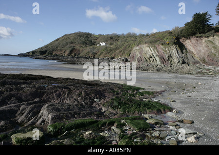 La plage à marée basse à Talland Bay près du port de pêche de Looe Cornwall Banque D'Images