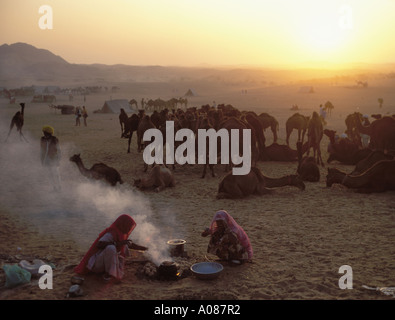 Les commerçants de chameau campement dans le désert, chameaux, juste Rajisthan Milan Puskar, Inde à sunet Banque D'Images