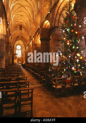 dh St Magnus Cathedral KIRKWALL ORCADES intérieures à Noël arbre et allée orkneys à l'intérieur de la cathédrale royaume-uni noël festival église Banque D'Images