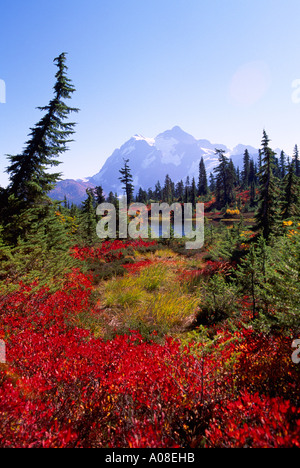 Le mont Baker - Snoqualmie National Forest, North Carolina, USA - Mt Shuksan ci-dessus : 'Heather Meadows' - Prairie alpine à l'automne, l'automne Banque D'Images