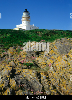 dh Kinnaird Head Phare FRASERBURGH ABERDEENSHIRE rochers et mer Pinks Armeria Maritima Trift musée des phares écossais Banque D'Images