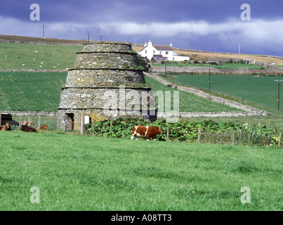 Orcades RENDALL Dovecot dh type Doocot Bee Hive farm house et les bovins dove cote Banque D'Images