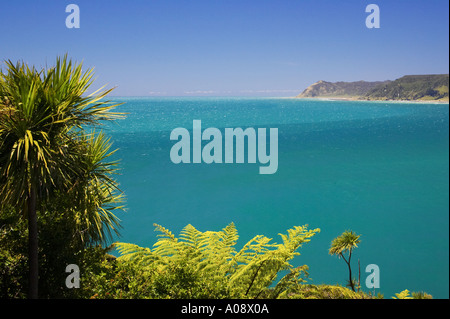 Vue de la côte près de Te Araroa de Haupara Point Eastland Nouvelle-zélande Banque D'Images