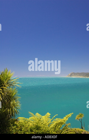 Vue de la côte près de Te Araroa de Haupara Point Eastland Nouvelle-zélande Banque D'Images