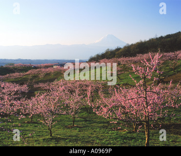 Shinpu Nirasaki ken Yamanashi Japon Banque D'Images