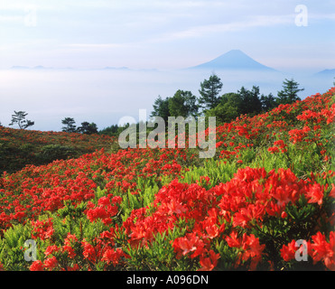 Le Mont Fuji Nirasaki ken Yamanashi Japon Banque D'Images