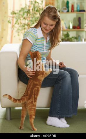 Fille avec un chat domestique Banque D'Images