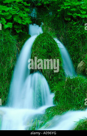 Les ruisseaux coulant sur l'herbe, le parc national des Lacs de Plitvice, Croatie Banque D'Images