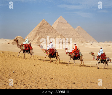 Des chameaux et des guides au Pyramids, Giza, Cairo, Égypte, Afrique du Nord Banque D'Images