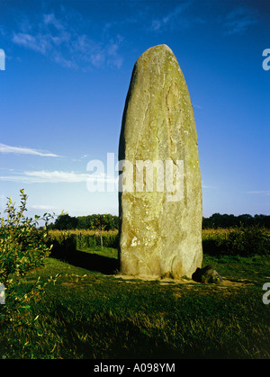 Menhir du Champ Dolent + de 9 mètres de haut standing stone en dehors de la petite ville de Dol dans le Nord Est de la Bretagne Banque D'Images