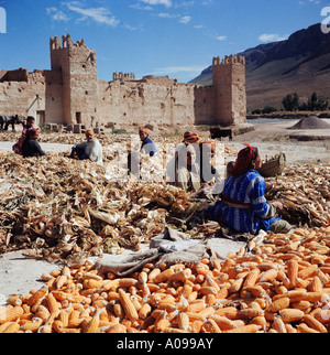 Les femmes du village par le maïs grain fort désert Maroc. Banque D'Images