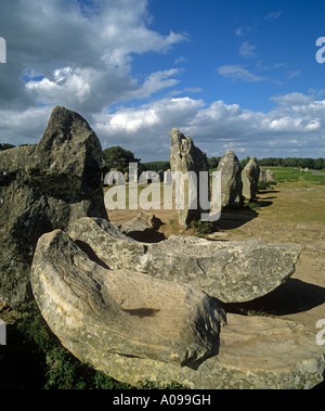 Les lignes s'étendent sur plus de Kermario stone 1228 mètres ce qui en fait la plus longue de la région de Carnac alignements de menhirs Banque D'Images