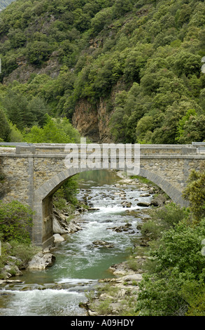 Pont sur le Rio Aragon Subordan, Espagne, Pyrenaeen, Hecho-Tal Banque D'Images