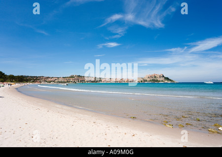 Plage, Calvi, La Balagne, Corse, France Banque D'Images
