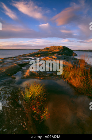 Soirée d'automne à l'île dans le lac Vansjø Brattholmen en Østfold, Norvège. Vansjø est une partie de l'eau appelé système Morsavassdraget. Banque D'Images