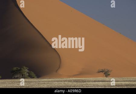 Dunes rouges Banque D'Images