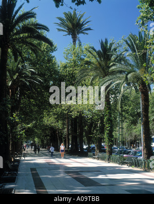 Paseo del Parque malaga andalousie espagne Banque D'Images