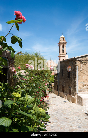 Centre du village et l'église, Lavatoggio, La Balagne, Corse, France Banque D'Images