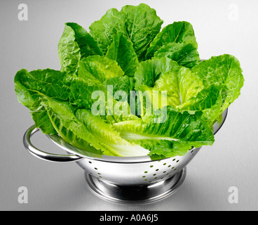 Laitue romaine fraîche / COS IN COLANDER Banque D'Images