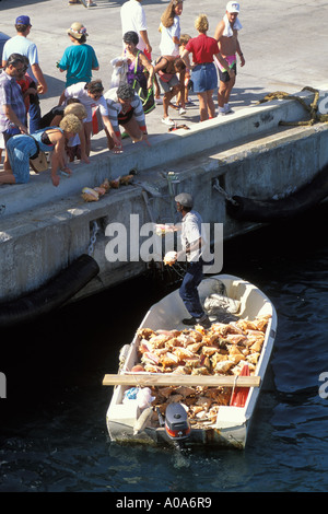 Caraïbes BAHAMAS NASSAU vente pêcheur Conques de bateau de pêche pour les touristes Banque D'Images