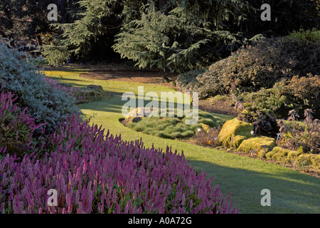 Rock japonais Jardin Royal Botanic Garden Edinburgh Inverleith couleurs d'automne Banque D'Images