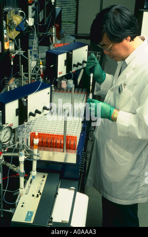 Chercheur scientifique effectue la séparation chimique dans l'essai d'ADN Banque D'Images