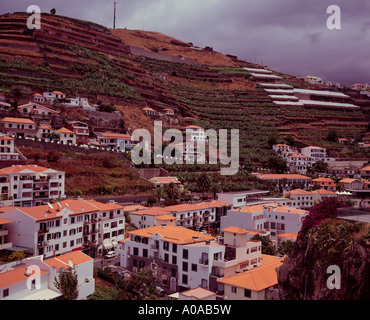 Le village et terrasses agricoles à Camara de Lobos, Madère, Portugal Banque D'Images