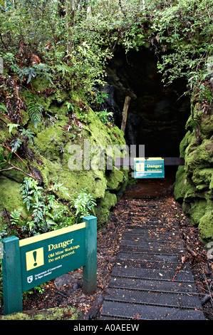 Charbon Mine Alborns à pied, le Parc Forestier de Victoria, Reefton, île du Sud, Nouvelle-Zélande Banque D'Images