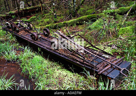 Charbon Mine Alborns à pied, le Parc Forestier de Victoria, Reefton, île du Sud, Nouvelle-Zélande Banque D'Images